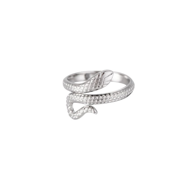 Whirling Snake Edelstahl Ring Silber