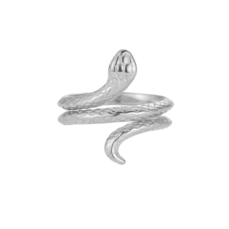 Vipera Coil Snake Edelstahl Ring Silber