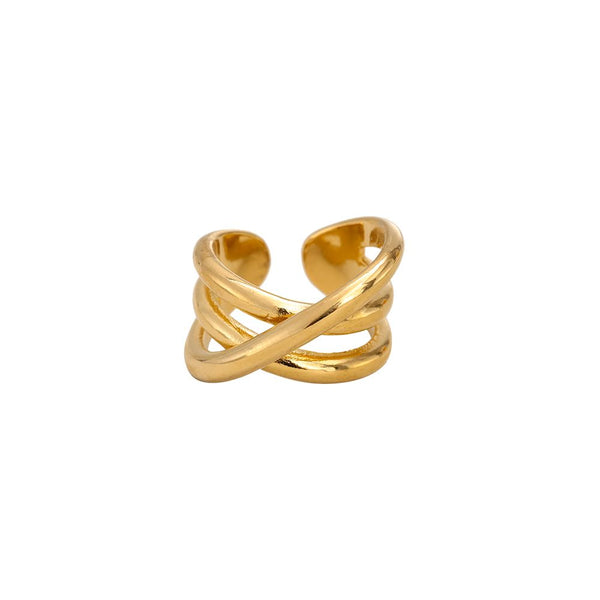 Universal Cycle Edelstahl Ring Gold