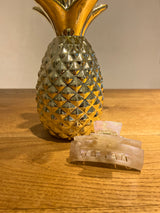 Mittlere Haarklammer Beige Shiny