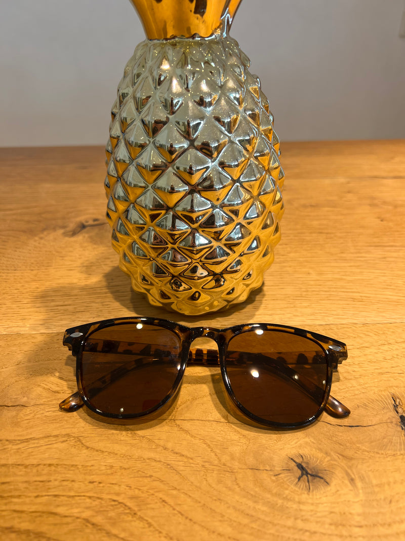 Sonnenbrille Classic Leo Camel