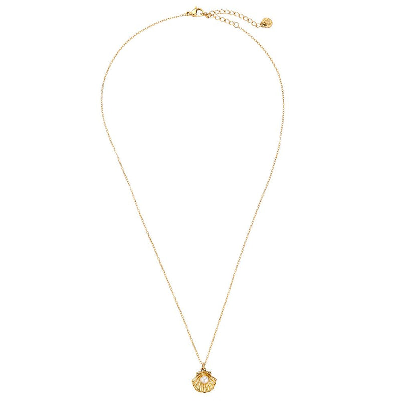 Small Pearl Shells Edelstahl Halskette Gold