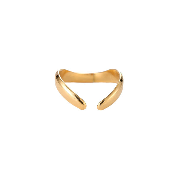 Solide Hold Edelstahl Ring Gold